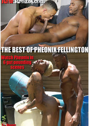Best of Phoenix Fellington