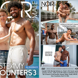 Steamy Encounters 3