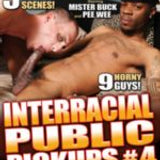 Interracial Public Pickups 4